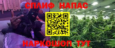 прущие грибы Заволжье