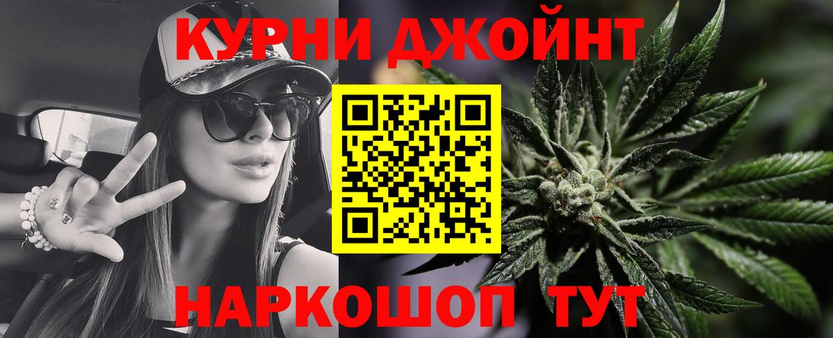 Каннабис сатива Майкоп